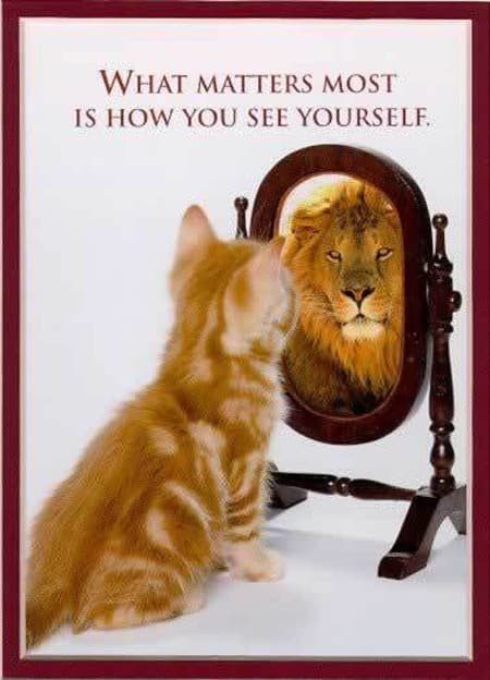 A birthday card showing a kitten looking into a mirror and seeing a lion, with the words What matters most is how you see yourself